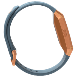 fitbit ionic croma